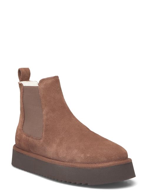 Copenhagen Studios | Cph258 Suede Chocolate | 38