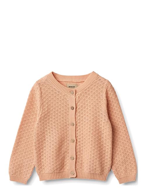 Wheat | Knit Cardigan Magnella | 98
