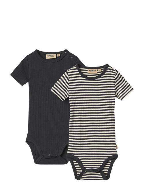 Wheat | 2 Rib Body S/S Timo | 56