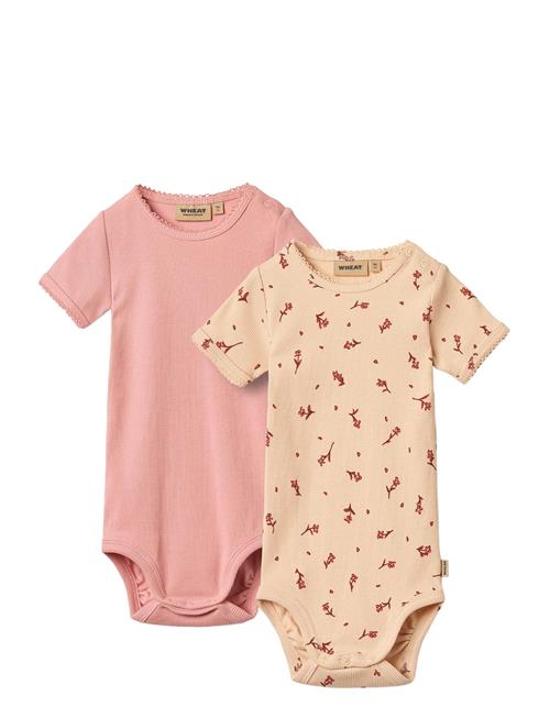 Wheat | 2 Body S/S Elisa | 68