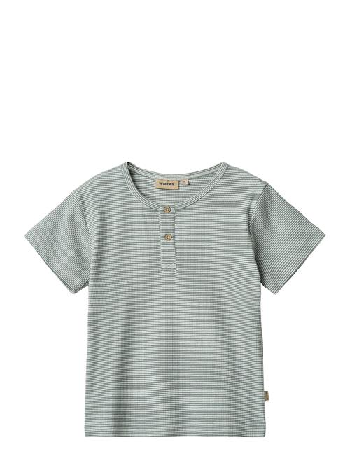 Wheat | T-Shirt S/S Lumi | 116
