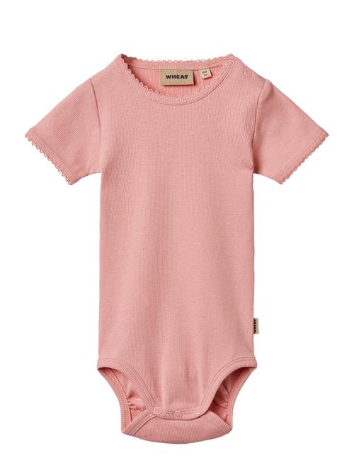 Wheat | Rib Body S/S Lace Elisa | 74