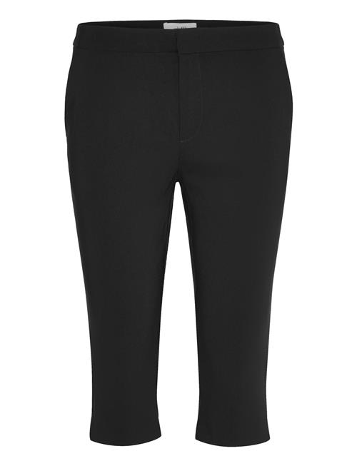 mbyM | Capriana-M | M