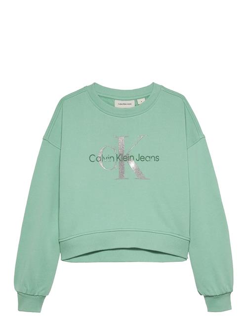 Calvin Klein | Glitter Monologo Cn Sweatshirt | 164