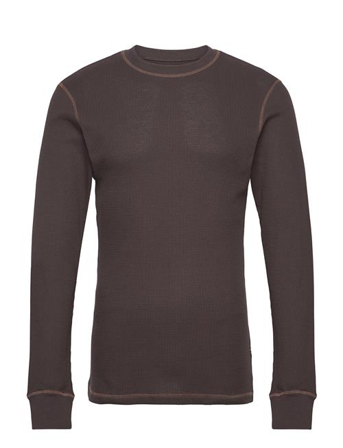 WOOD WOOD | Wwemil Waffle Ls T-Shirt | XS