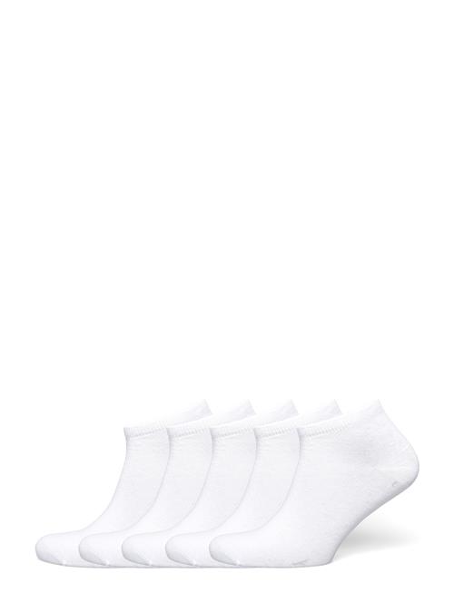 Decoy | Decoy Sneaker Sock 5-Pk | 37-41