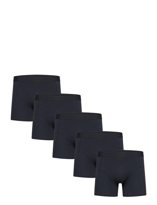 Shine Original | 5 Pack Tights | XL