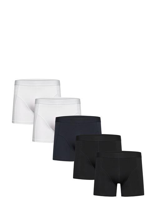 Shine Original | 5 Pack Tights | XL