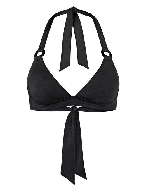 Triumph | Midnight Swim P | E x 44