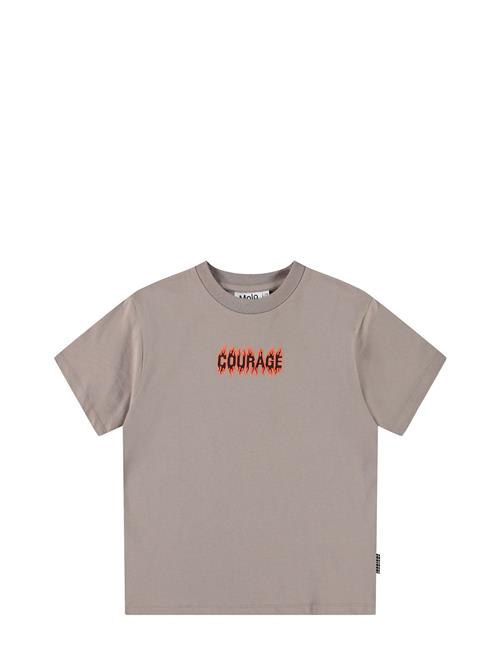 Molo | Rodney | 116