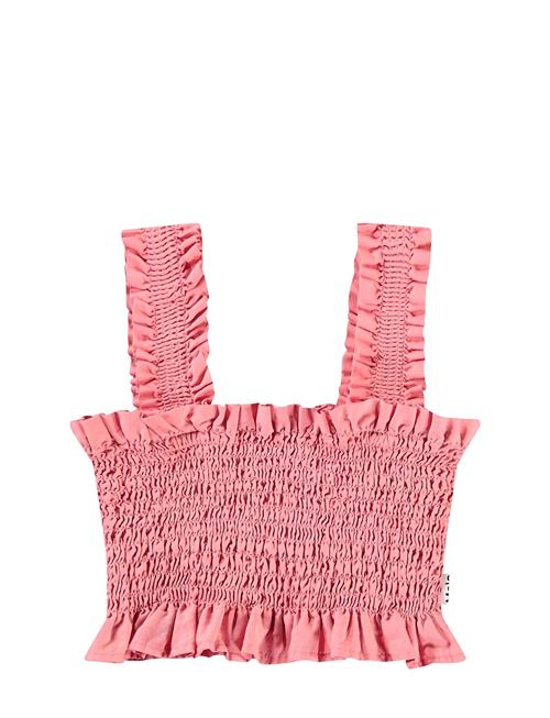 Molo | Rolfia | 110/116