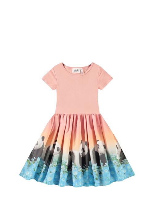 Molo | Cissa | 92/98