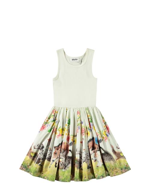 Molo | Cassandra | 146/152