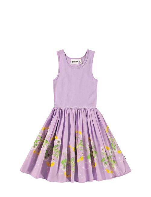 Molo | Cassandra | 98/104