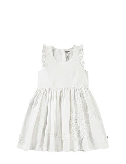 Molo | Cortney | 110/116