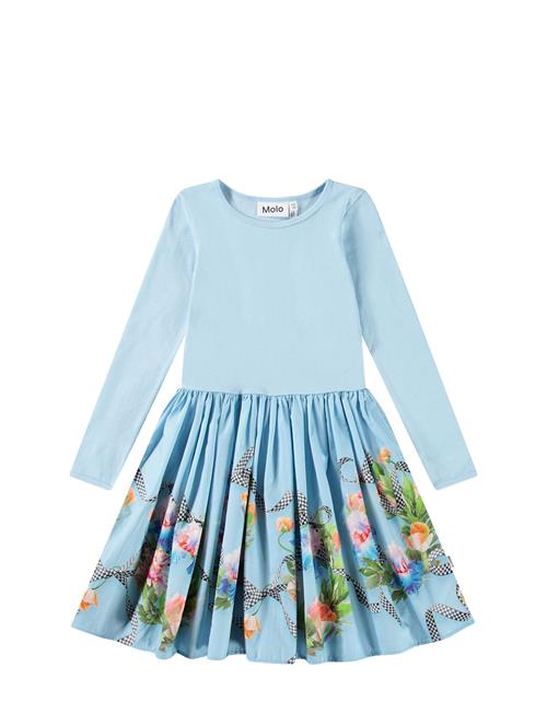 Molo | Casie | 146/152