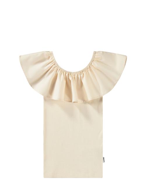 Molo | Reca | 122/128