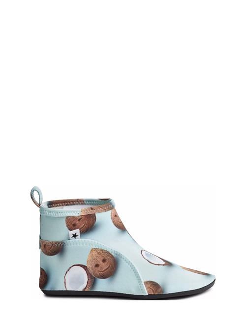 Molo | Zimba | 31/32