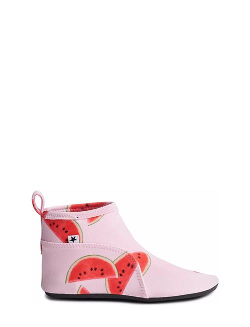 Molo | Zimba | 31/32