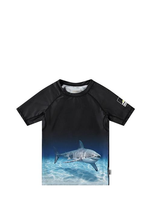 Molo | Neptune | 92/98