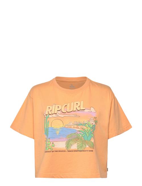 Rip Curl | La Paloma Crop Tee | L