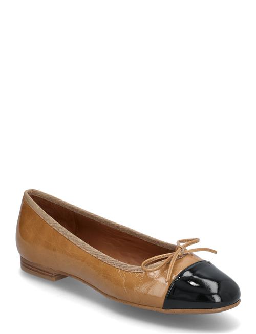 Billi Bi | Ballerina | 36