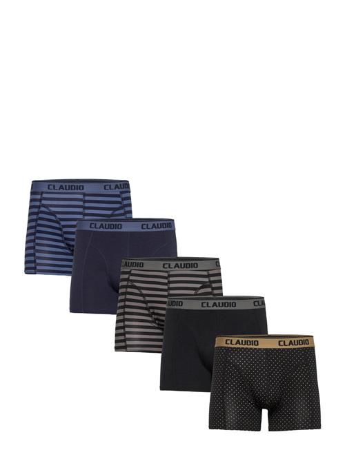 Claudio | Claudio 5-Pack Tights | XL