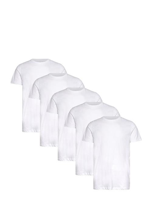 Claudio | Claudio 5-Pack T-Shirt Cotton | L