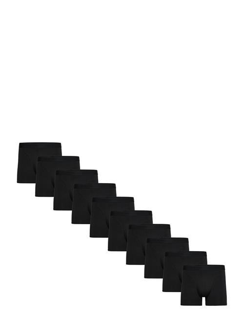 Claudio | Claudio 10-Pack Tights | XXL