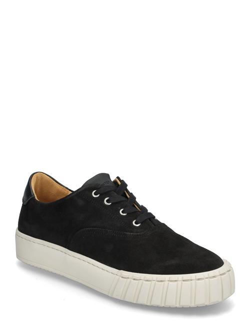 Sneaky Steve | Kim U Black | 42