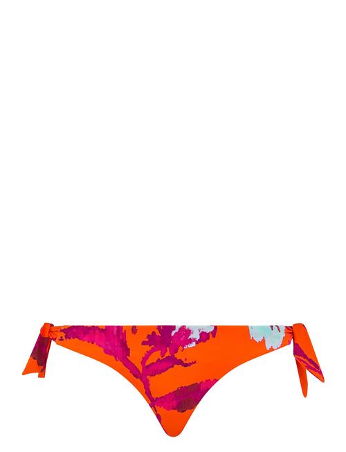 Chantelle Beach | Icon Bikini | 40