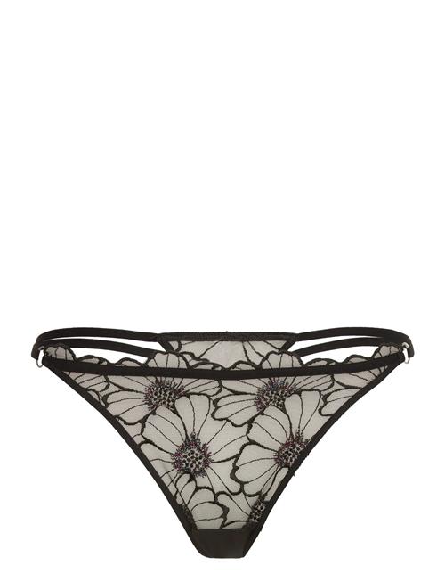 CHANTELLE | Lush Thong | 40