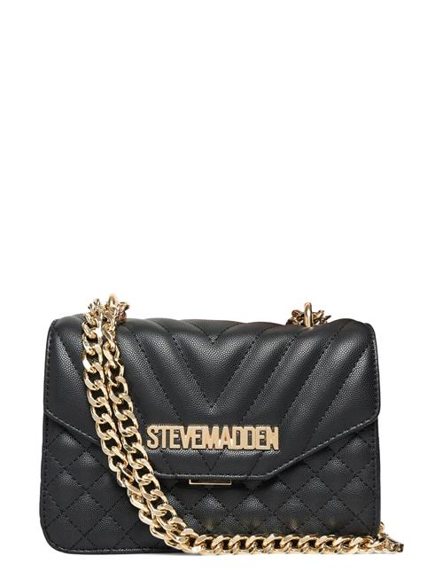 Steve Madden | Bstake-2 | ONE SIZE