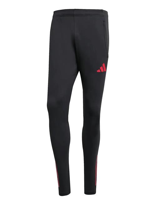 adidas Performance | Lfc Tr Pnt | L