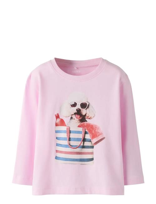 name it | Nmfvotea Ls Nreg Top | 116