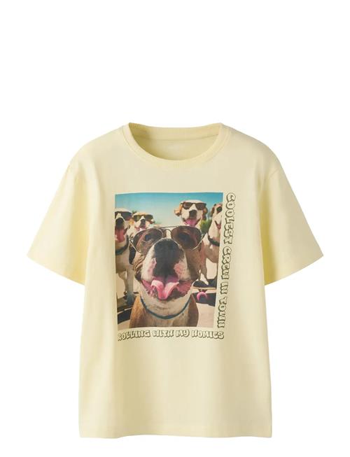 name it | Nkmvoto Ss Nreg Top | 158-164