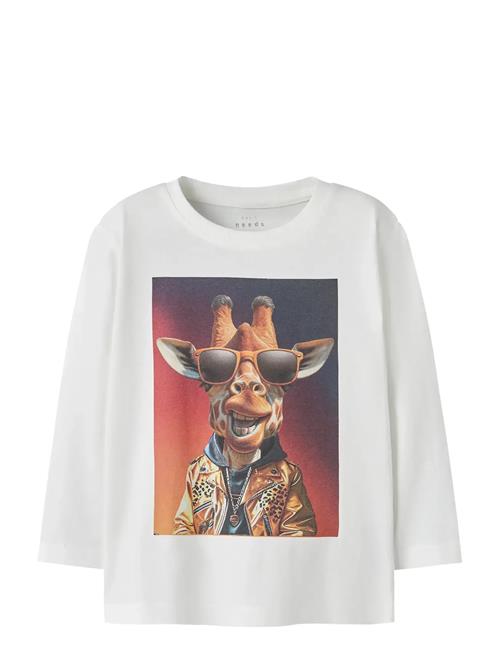 name it | Nmmvoto Ls Nreg Top | 92