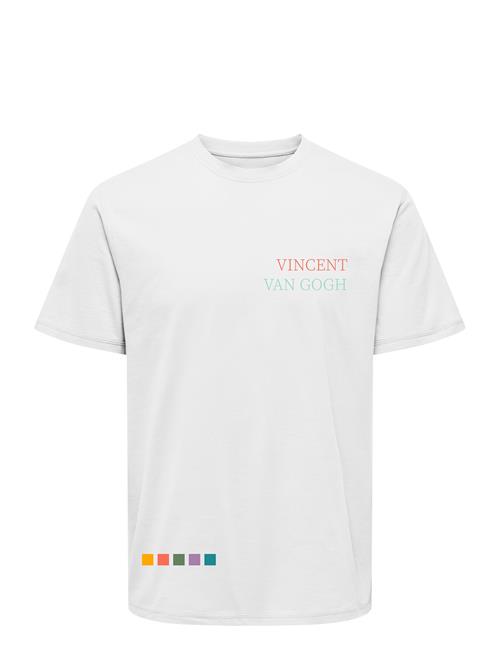ONLY & SONS | Onsvan Gogh Reg Ss Tee | M
