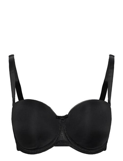 Triumph | Beauty-Full Essential Wdp | G x 65