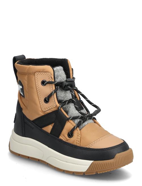 Sorel | Youth Whitney Iii Mid Wp | 33