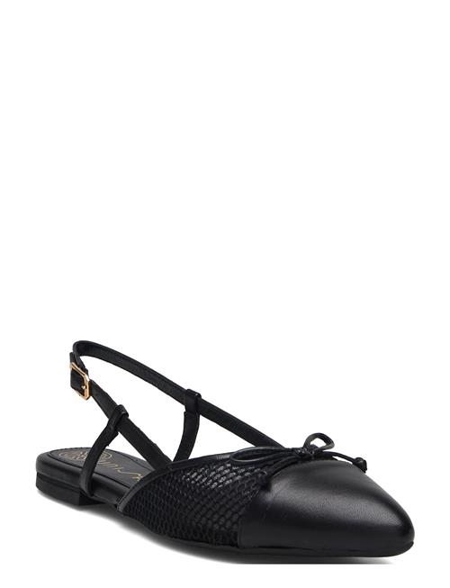 UNISA | Amalentonfi | 39