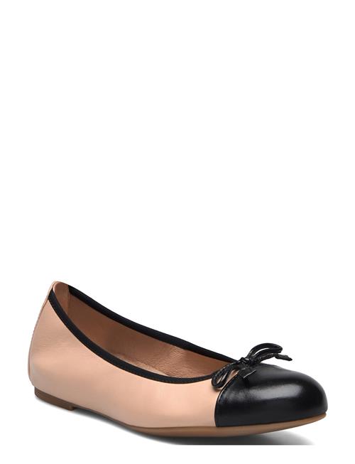 UNISA | Auto25Nto | 40