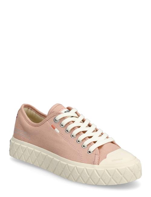 Palladium | Palla Ace Cvs Org | 40