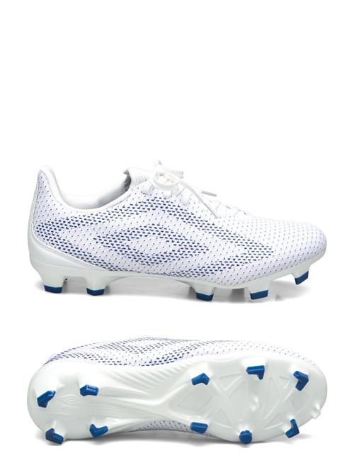 Umbro | Velocita Matrix Club Fg | 43