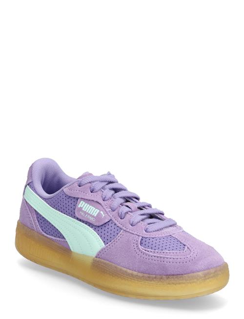 PUMA | Palermo Moda Vintage Wns | 37.5