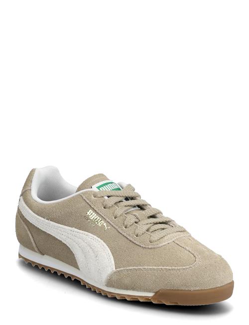 PUMA | Arizona Sd | 38