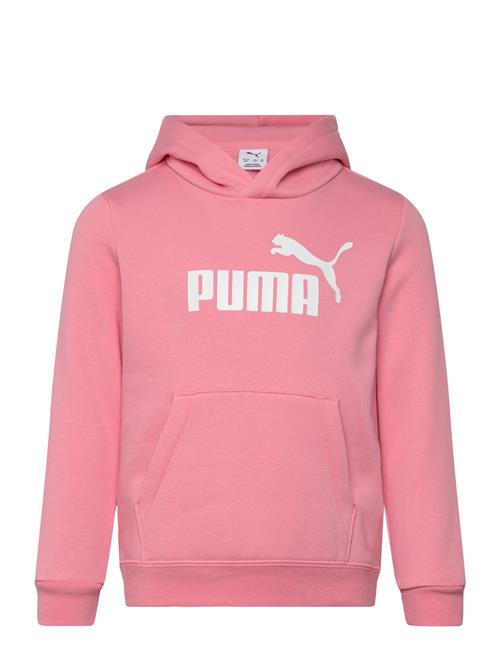 PUMA | Ess No. 1 Logo Hoodie Fl Ps | 104