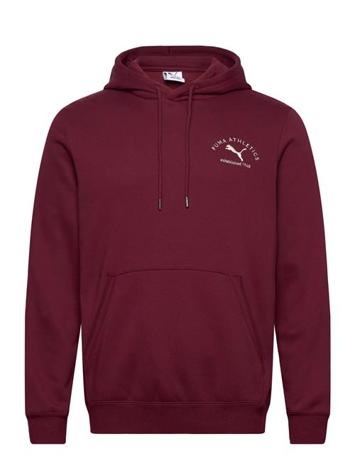 PUMA | Puma Class Graphic Hoodie Fl | S