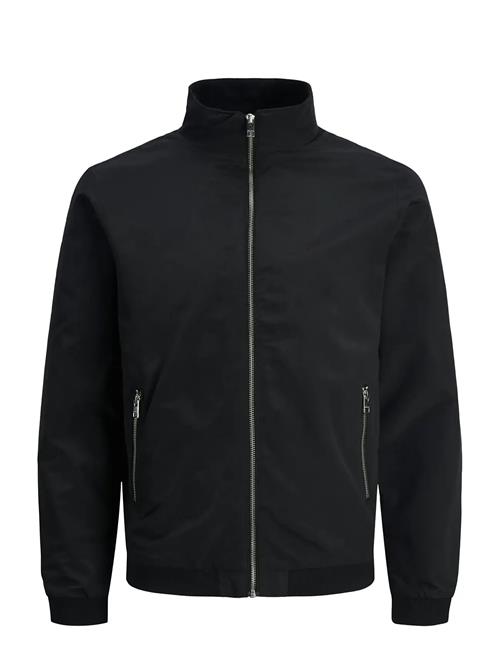 Jack & Jones | Jjerush Harrington Bomber Noos | L
