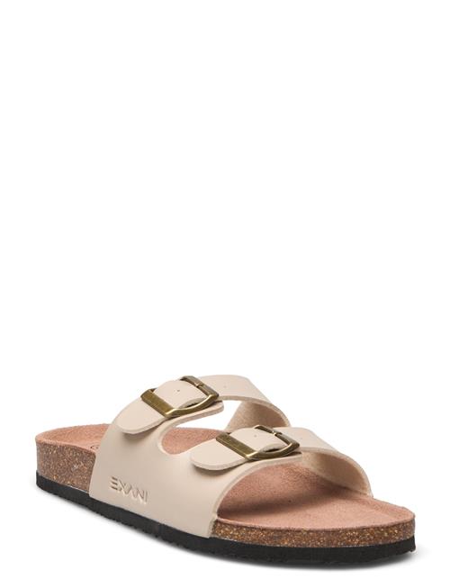 Exani | Spectra W | 41